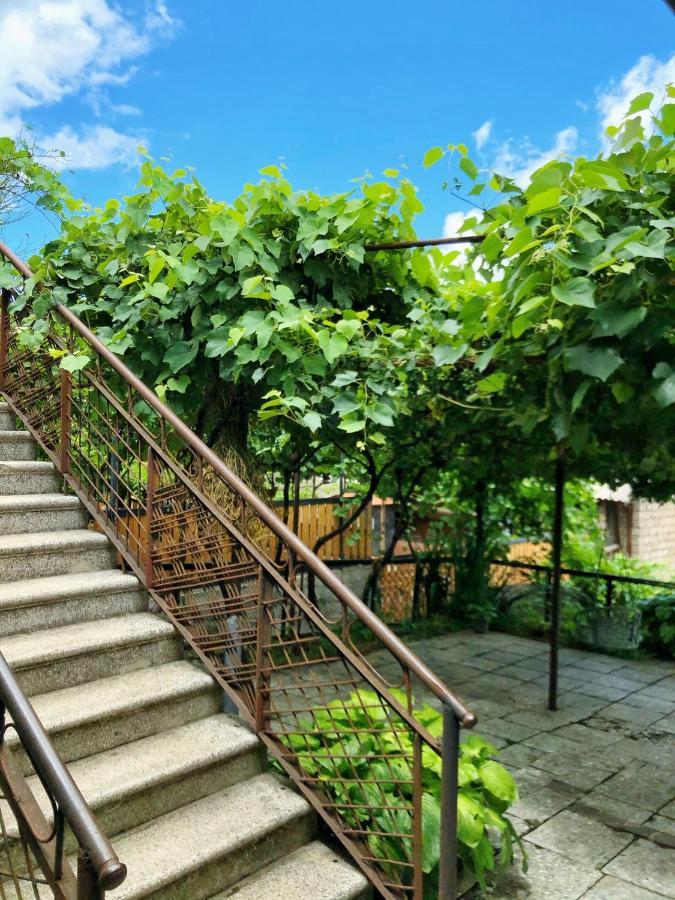 Achela'S Guesthouse Bordżomi Zewnętrze zdjęcie
