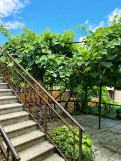 Achela'S Guesthouse Bordżomi Zewnętrze zdjęcie